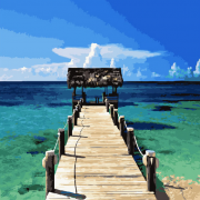 КАРТИНА ПО НОМЕРАМ. BRUSHME " КАРИБЫ " GX21744